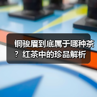铜骏眉到底属于哪种茶?红茶中的珍品解析(图2) 铜骏眉到底属于哪种茶?红茶中的珍品解析(图2)