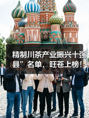 精制川茶产业振兴十强县”名单,旺苍上榜!(图4) 精制川茶产业振兴十强县”名单,旺苍上榜!(图4)