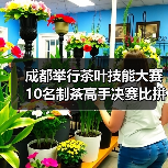 成都举行茶叶技能大赛 10名制茶高手决赛比拼(图4) 成都举行茶叶技能大赛 10名制茶高手决赛比拼(图4)