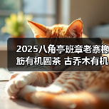 2025八角亭班章老寨橡筋有机圆茶 古乔木有机之韵，严选臻品（图2）