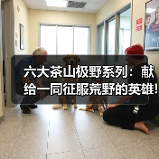 六大茶山极野系列：献给一同征服荒野的英雄!（图1）