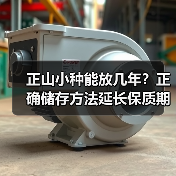 正山小种能放几年？正确储存方法延长保质期（图1）