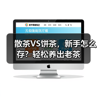 散茶VS饼茶,新手怎么存?轻松养出老茶(图3) 散茶VS饼茶,新手怎么存?轻松养出老茶(图3)