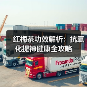 红梅茶功效解析：抗氧化提神健康全攻略（图3）