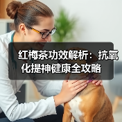 红梅茶功效解析：抗氧化提神健康全攻略（图1）