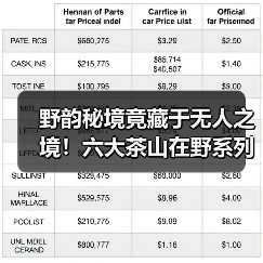 野韵秘境竟藏于无人之境!六大茶山在野系列旗舰惊艳登场(图3) 野韵秘境竟藏于无人之境!六大茶山在野系列旗舰惊艳登场(图3)