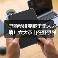 野韵秘境竟藏于无人之境!六大茶山在野系列旗舰惊艳登场(图2) 野韵秘境竟藏于无人之境!六大茶山在野系列旗舰惊艳登场(图2)