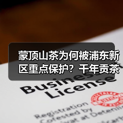 蒙顶山茶为何被浦东新区重点保护?千年贡茶背后的商标守护之路(图2) 蒙顶山茶为何被浦东新区重点保护?千年贡茶背后的商标守护之路(图2)