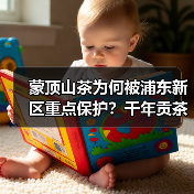 蒙顶山茶为何被浦东新区重点保护?千年贡茶背后的商标守护之路(图3) 蒙顶山茶为何被浦东新区重点保护?千年贡茶背后的商标守护之路(图3)