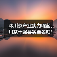 沐川茶产业实力崛起,川茶十强县实至名归!(图2) 沐川茶产业实力崛起,川茶十强县实至名归!(图2)