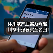 沐川茶产业实力崛起,川茶十强县实至名归!(图4) 沐川茶产业实力崛起,川茶十强县实至名归!(图4)