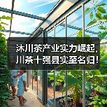沐川茶产业实力崛起,川茶十强县实至名归!(图1) 沐川茶产业实力崛起,川茶十强县实至名归!(图1)