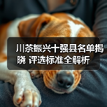 川茶振兴十强县名单揭晓 评选标准全解析（图3）