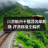 川茶振兴十强县名单揭晓 评选标准全解析（图1）