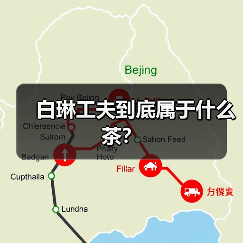 白琳工夫到底属于什么茶？（图3）