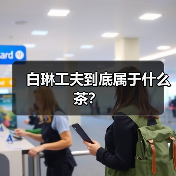白琳工夫到底属于什么茶？（图4）