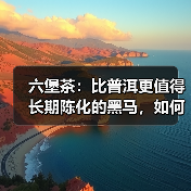 六堡茶:比普洱更值得长期陈化的黑马,如何挑选?(图2) 六堡茶:比普洱更值得长期陈化的黑马,如何挑选?(图2)