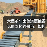 六堡茶:比普洱更值得长期陈化的黑马,如何挑选?(图4) 六堡茶:比普洱更值得长期陈化的黑马,如何挑选?(图4)