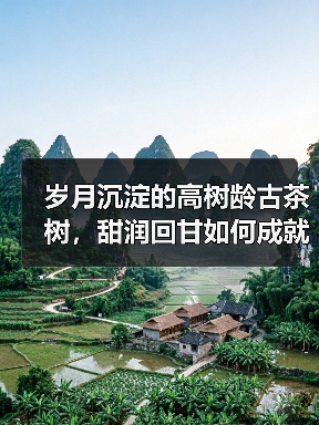 岁月沉淀的高树龄古茶树,甜润回甘如何成就茶中稀世瑰宝?(图2) 岁月沉淀的高树龄古茶树,甜润回甘如何成就茶中稀世瑰宝?(图2)