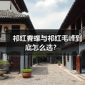 祁红香螺与祁红毛峰到底怎么选？
