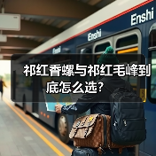 祁红香螺与祁红毛峰到底怎么选？（图2）
