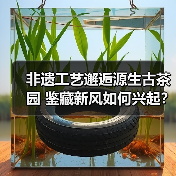 非遗工艺邂逅源生古茶园 鉴藏新风如何兴起？（图4）