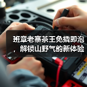 班章老寨茶王免撬即泡，解锁山野气韵新体验（图3）