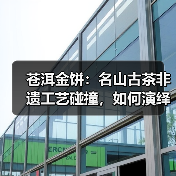 苍洱金饼：名山古茶非遗工艺碰撞，如何演绎茶香传奇？（图1）