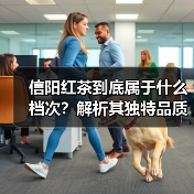 信阳红茶到底属于什么档次？解析其独特品质与等级划分（图2）