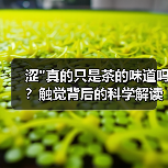 涩