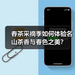 春茶采摘季如何体验名山茶香与春色之美？（图4）