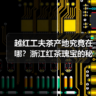 越红工夫茶产地究竟在哪？浙江红茶瑰宝的秘密（图2）