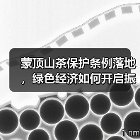 蒙顶山茶保护条例落地，绿色经济如何开启振兴之路？（图2）