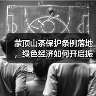 蒙顶山茶保护条例落地，绿色经济如何开启振兴之路？（图3）
