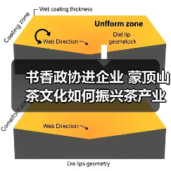 书香政协进企业 蒙顶山茶文化如何振兴茶产业？（图2）