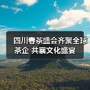 四川春茶盛会齐聚全球茶企 共襄文化盛宴（图4）