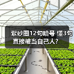 紫砂圈12句暗号 懂3句直接被当自己人？（图4）