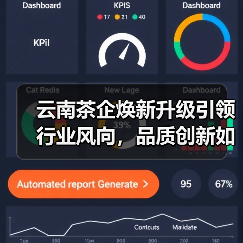 云南茶企焕新升级引领行业风向，品质创新如何重塑茶界？（图3）