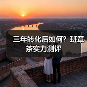 三年转化后如何？班章茶实力测评