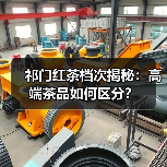 祁门红茶档次揭秘：高端茶品如何区分？