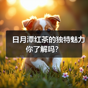 日月潭红茶的独特魅力你了解吗？（图4）