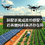 拼配茶竟成高价标配？岩茶圈纯料茶还存在吗？（图3）