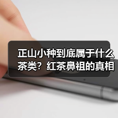 正山小种到底属于什么茶类？红茶鼻祖的真相揭秘