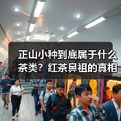 正山小种到底属于什么茶类？红茶鼻祖的真相揭秘（图2）