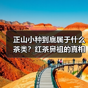 正山小种到底属于什么茶类？红茶鼻祖的真相揭秘（图4）