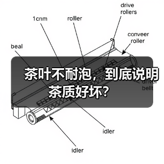 茶叶不耐泡，到底说明茶质好坏？
