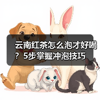 云南红茶怎么泡才好喝？5步掌握冲泡技巧