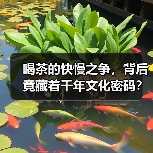 喝茶的快慢之争，背后竟藏着千年文化密码？（图2）