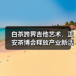 白茶跨界吉他艺术，正安茶博会释放产业新活力（图1）