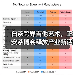 白茶跨界吉他艺术，正安茶博会释放产业新活力（图3）